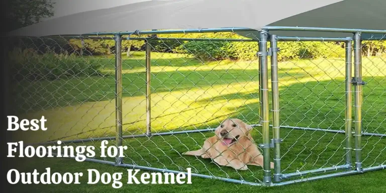 9 Best Flooring for Outdoor Dog Kennel (With Buyer’s Guide)