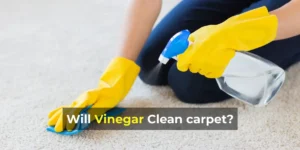 Will vinegar clean the carpet