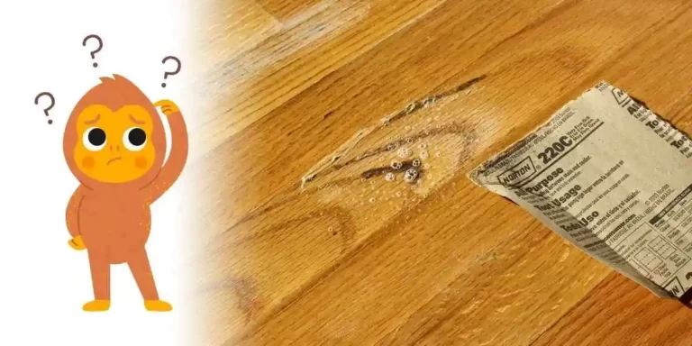 Can Mold Grow Under Vinyl Plank Flooring? (Answered)