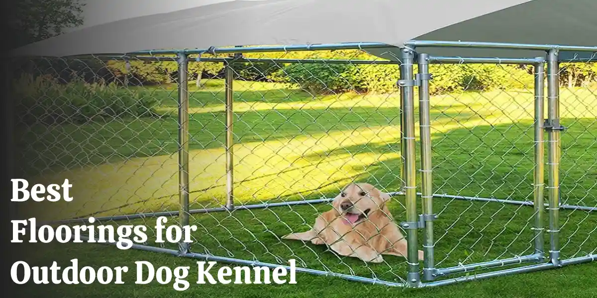 Best Flooring for Outdoor Dog Kennel