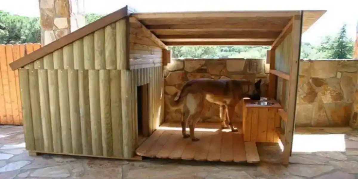 Outdoor Dog Kennel Flooring Ideas Wooden Platform