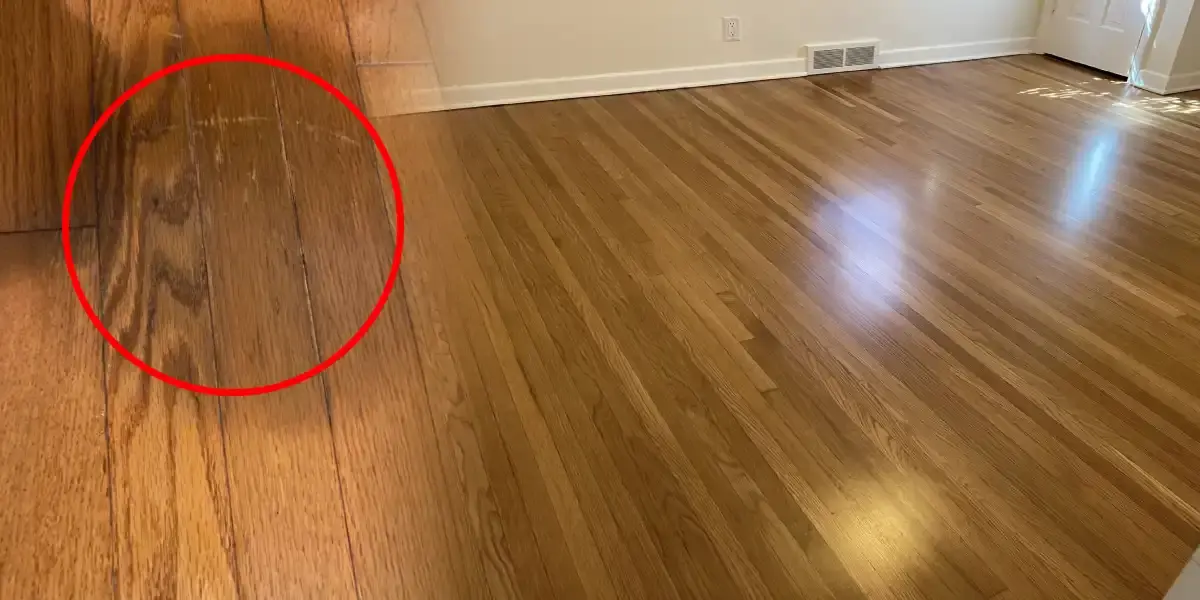 How to Remove Urine Stains from Hardwood Floors?